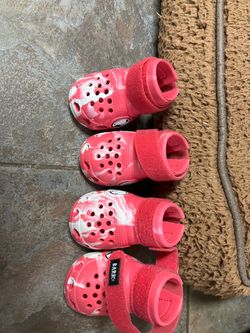 Bark Dog Crocs Size Medium