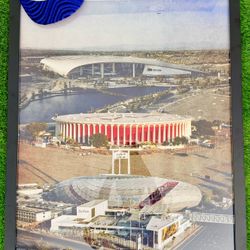 Custom Inglewood Stadium Portrait 