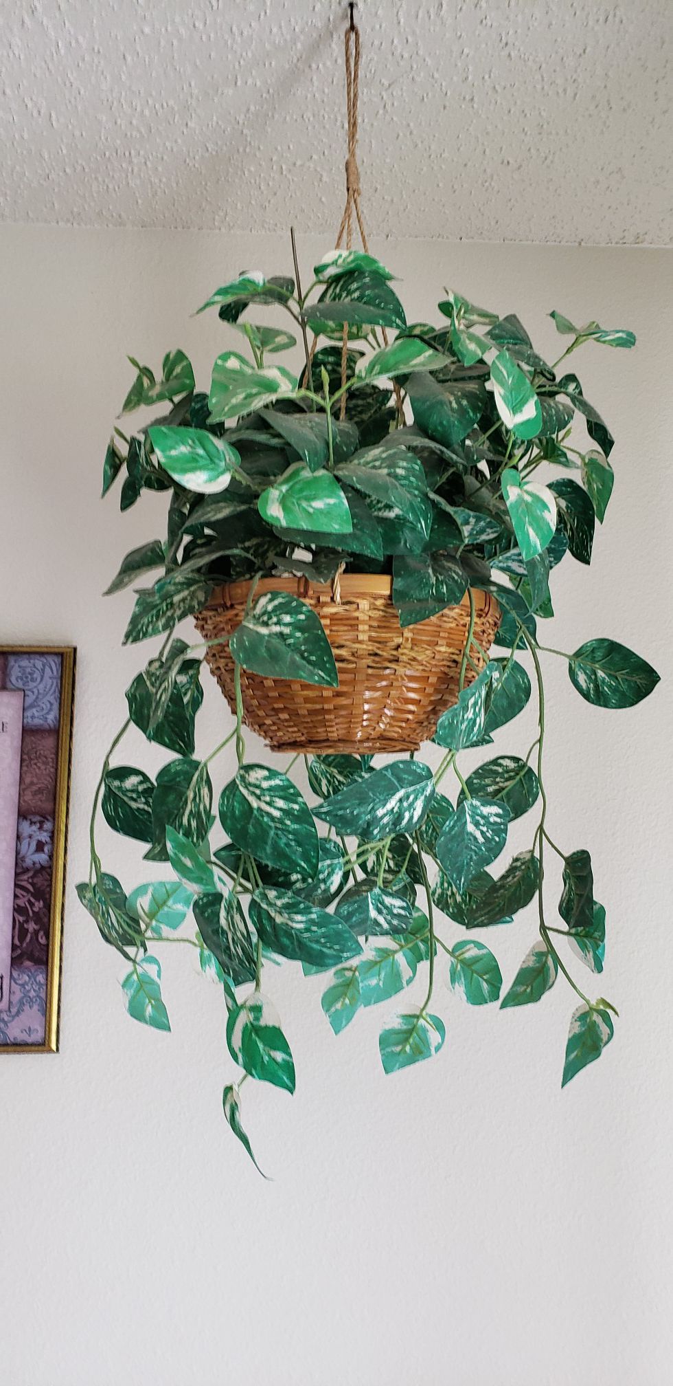 Hanging Fake plants