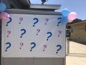 Vinyl banner for a Gender reveal party
