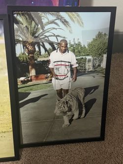 Framed photos of Tiger woods and Mike Tyson
