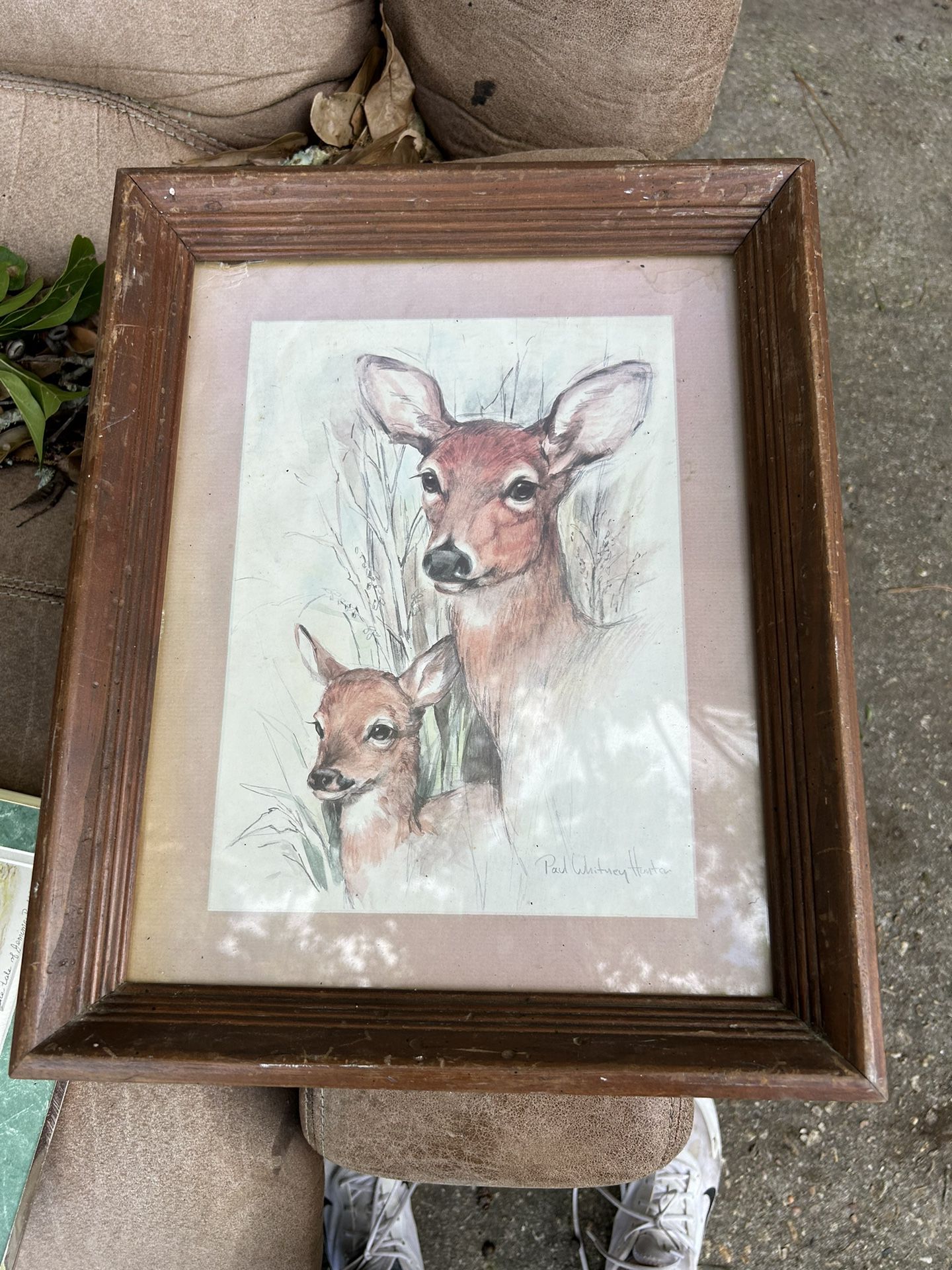 Vintage Wooden Framed Drawing Print Doe & Fawn Deer by Paul Whitney Hunter