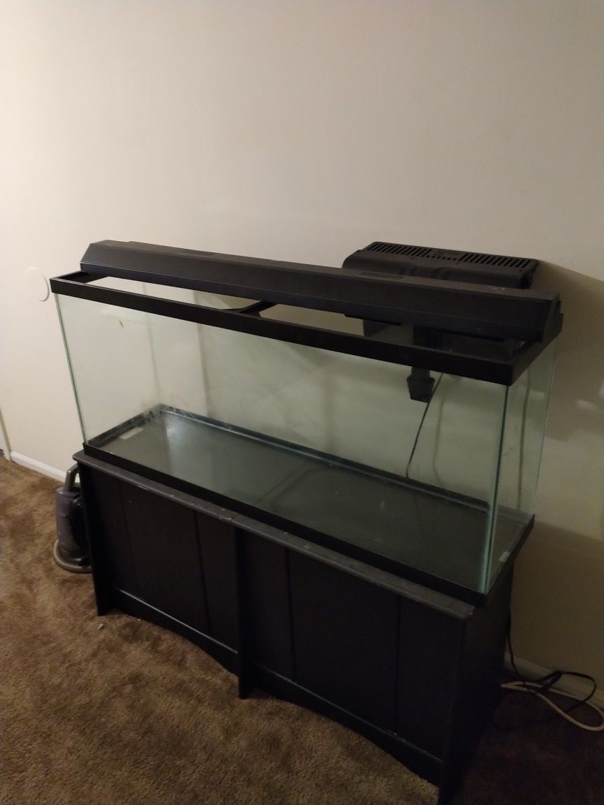 55 Gallon Aquarium with stand and filter