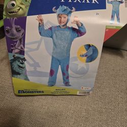 Sulley Costume