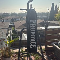 Punching Bag 