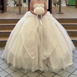 Quinceañera dress