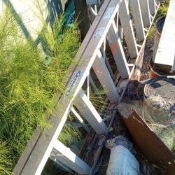Ladder