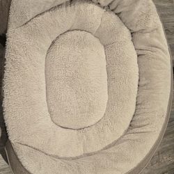 Large Dog Bed