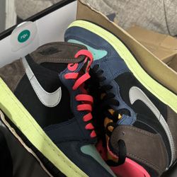 Toyko Bio Hack Jordan 1 