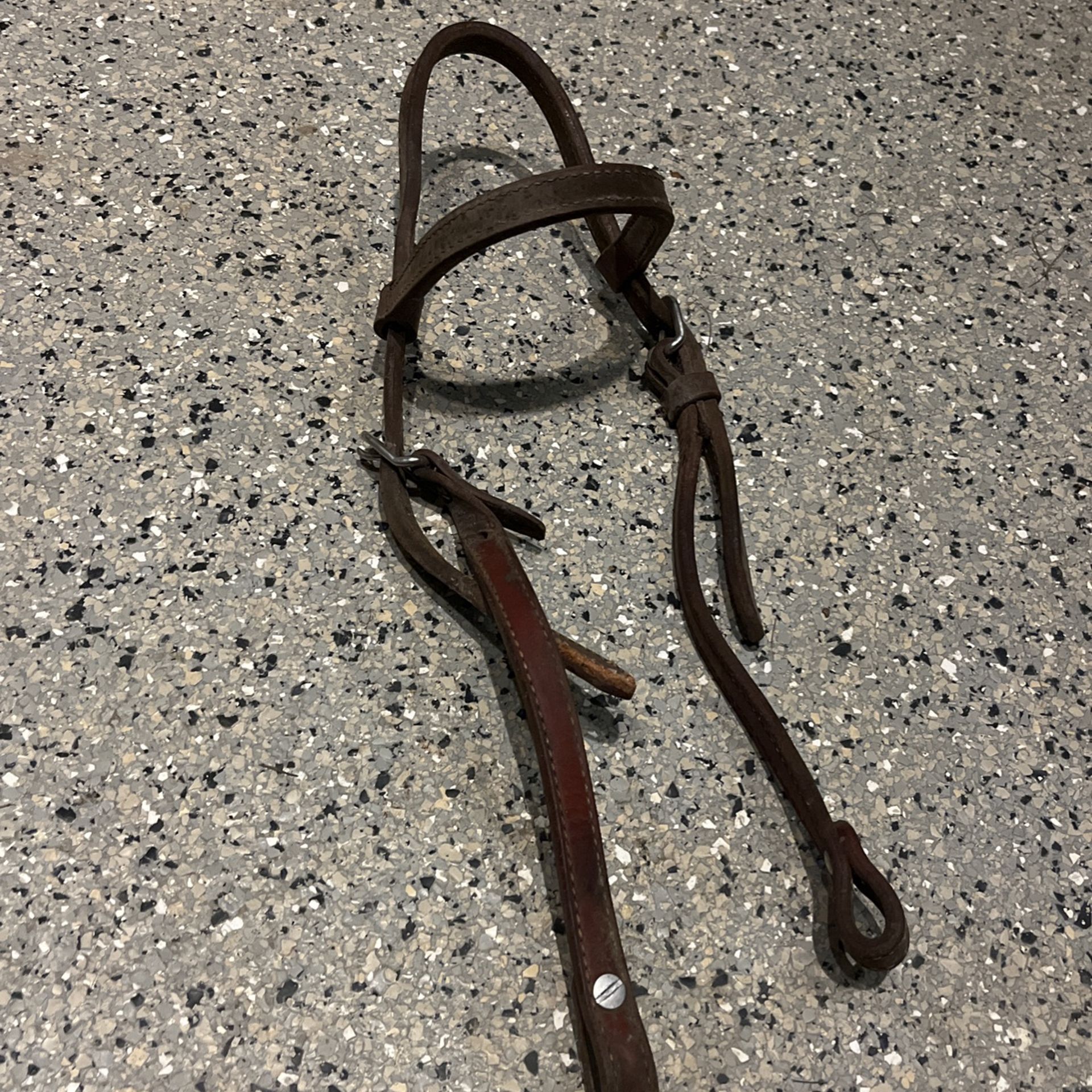 Bridle With No Bit