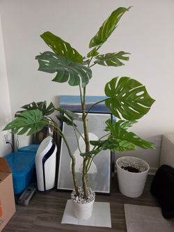 West Elm Faux Plant