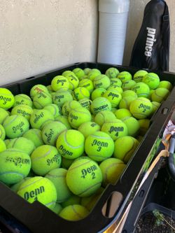 50 tennis balls in great condition