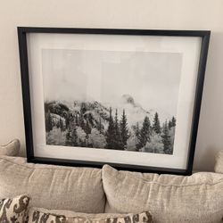 Framed Wall Art 