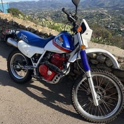 Honda Dual Sport Street Legal 600cc