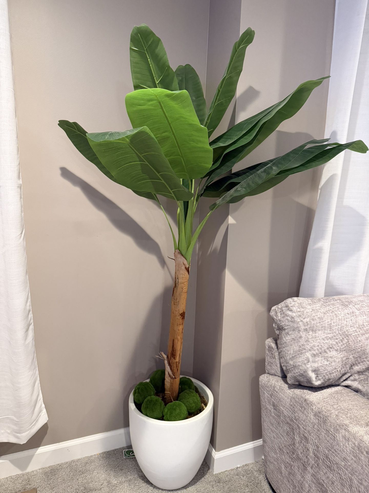 Fake Plant