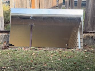 Mirrored Doors