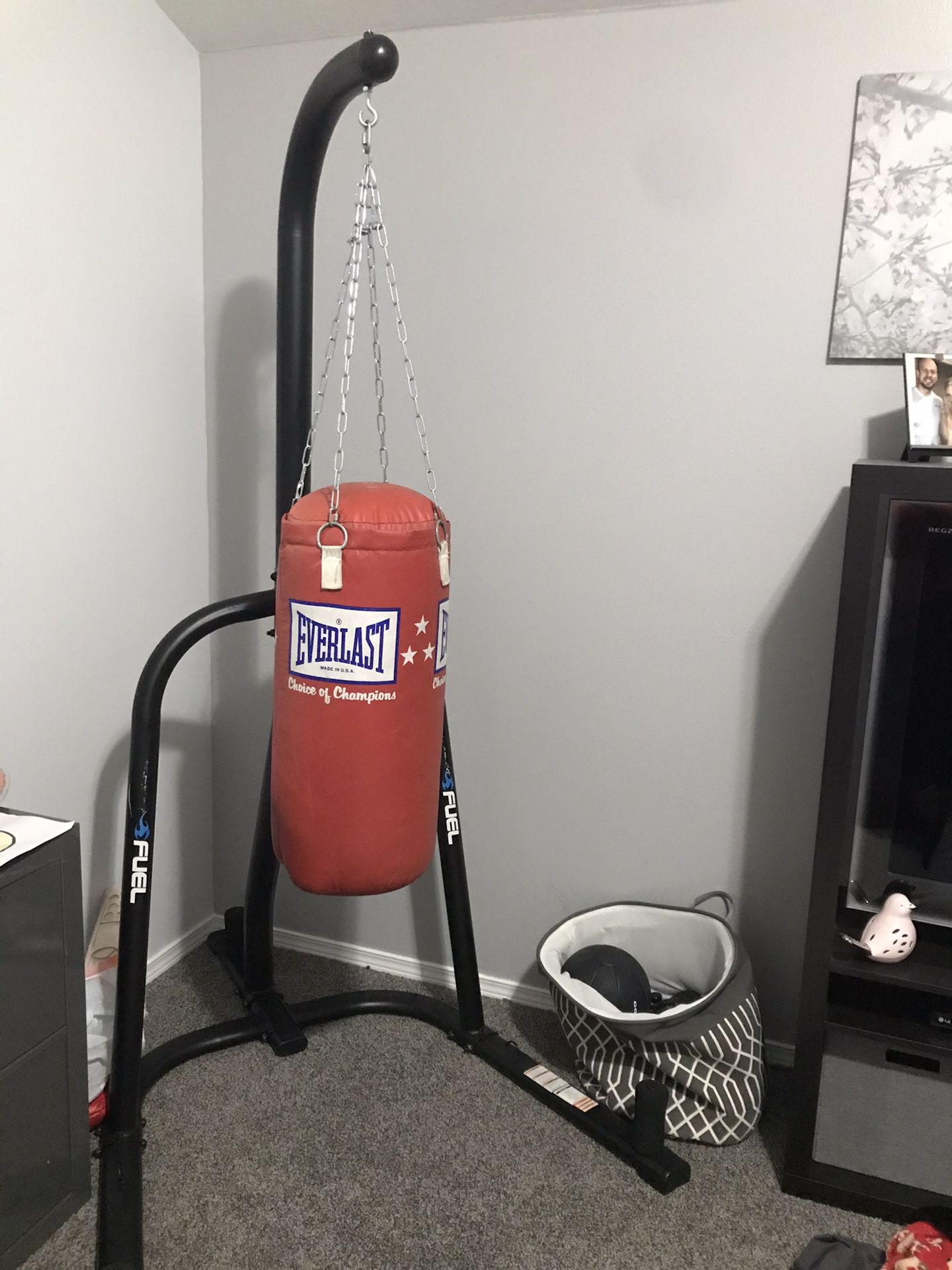 Punching bag/stand/gloves