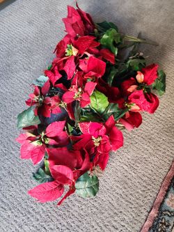 Various Lifelike Poinsettia Stems 10+