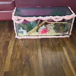 Reptil Tank