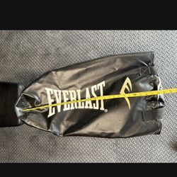 Everlast Punching Bag Empty