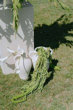 Dried hanging amaranthus (Real) OBO
