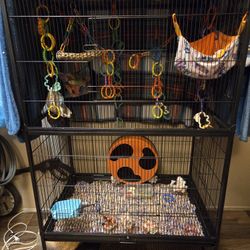 Bird Cage