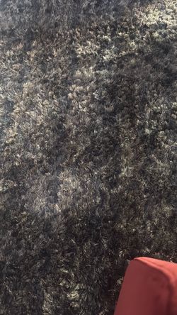 Shag carpet 12x10
