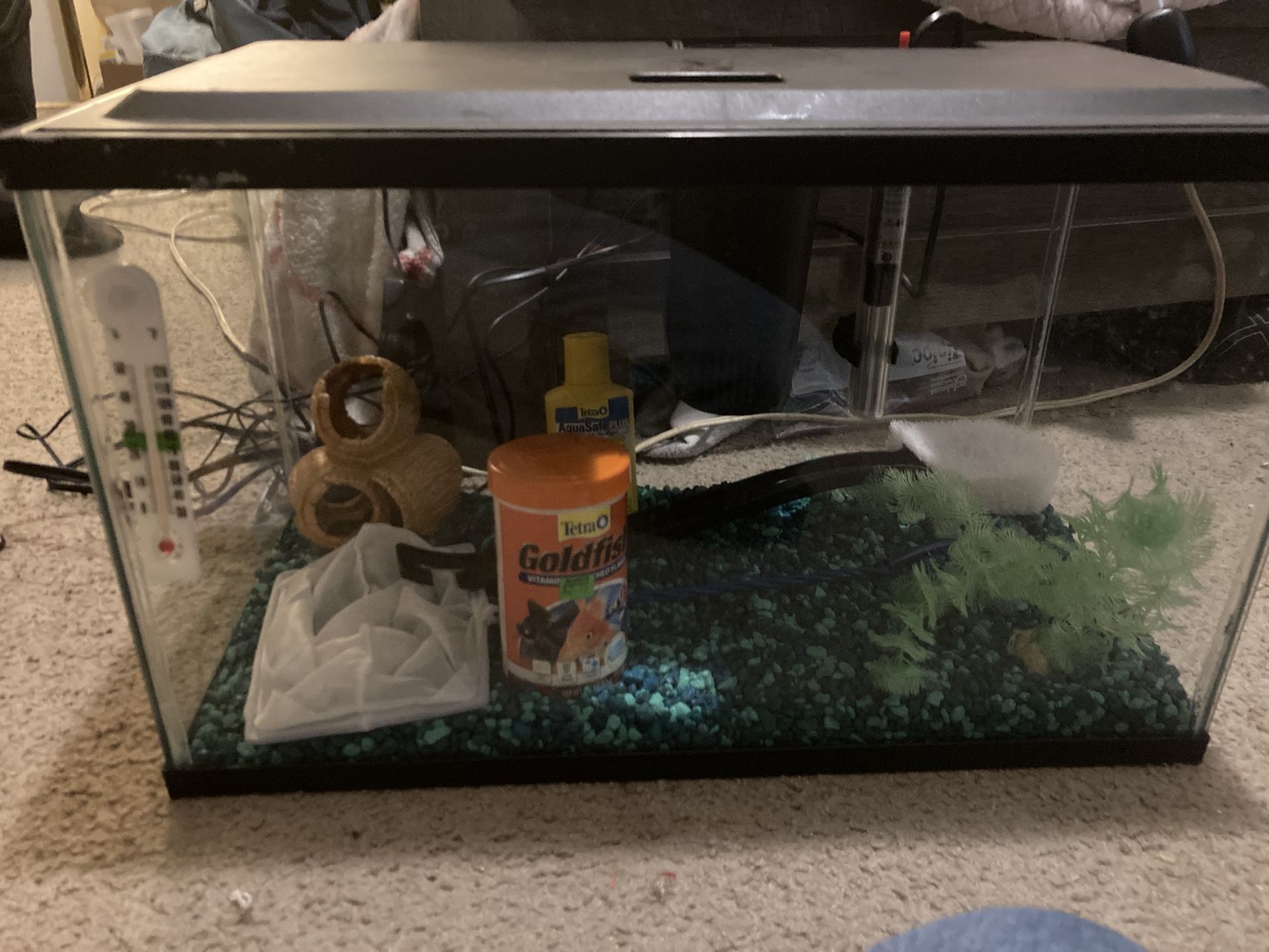 Fish Tank