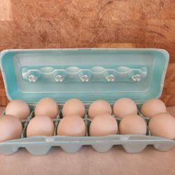 DUCK EGGS 🥚 