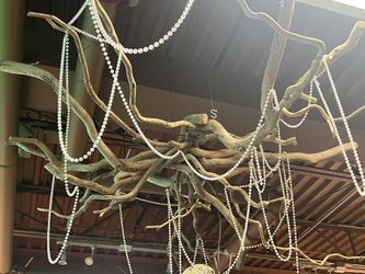 Ceiling Decorating