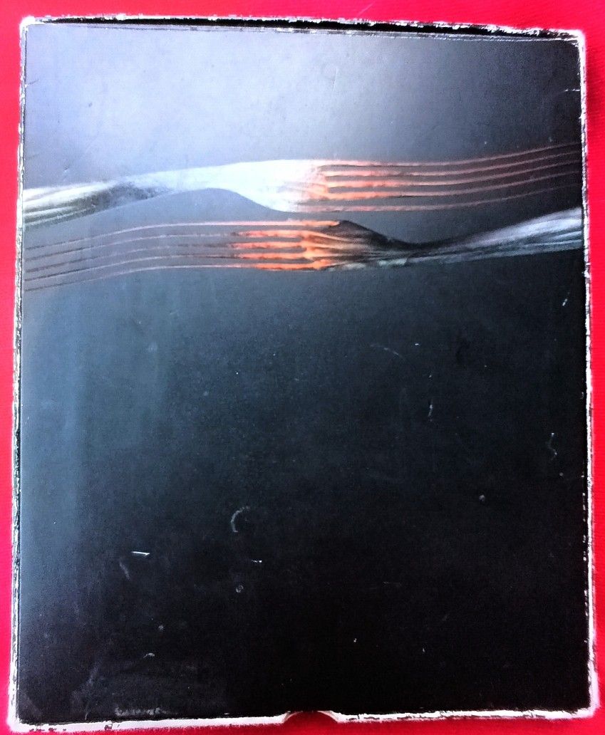 Tool Salival DVD CD-2000