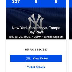 NYY Yankees v Tampa Bay Rays