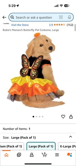 Butterfly Pet Costume