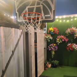 Lifetime Basketball Hoop