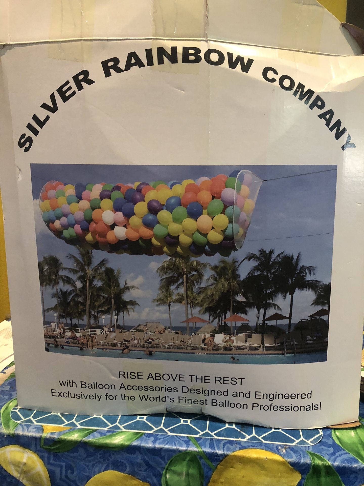 Balloon Drop Net