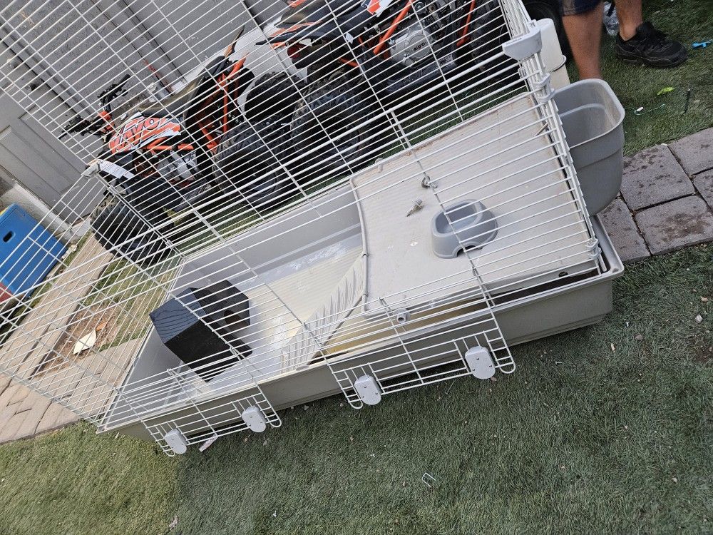 Guinea Pig Cage