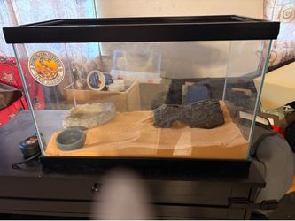 Reptile habitat tank