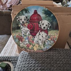 This Is A Collection Plate. The Year  1993. Please Don't  Pick The Flowers