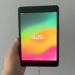 10th Generation Ipad 