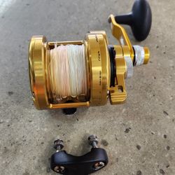 Penn Torque TRQ 25NLD2 Gold Lever Drag 2 Speed Fishing Reel 