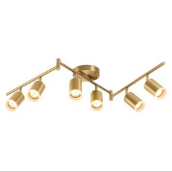 Light Fixture/ Ceiling Lights/ Track Lights/ 