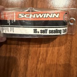 Schwinn 16 Inch South Ceiling Bicycle Tube Mountain Bike