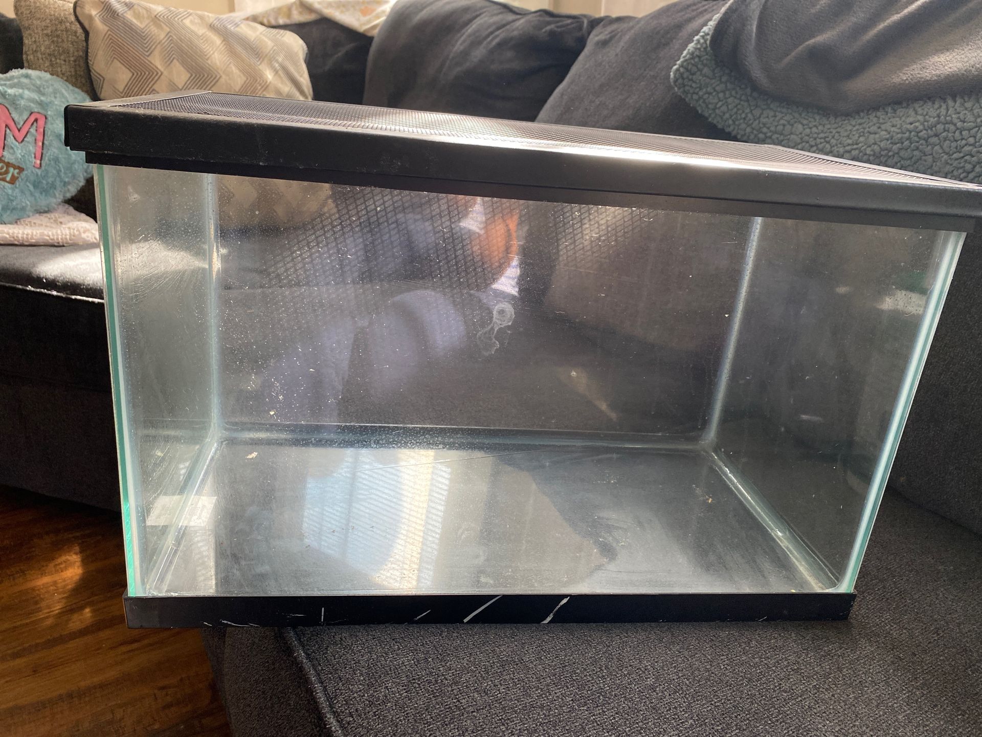 10 gallon fish tank