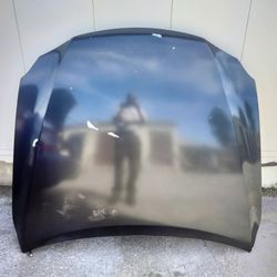 2006-2012 Lexus Is250/350 (Is Series) Hood OEM.