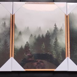 Woods Frames 11 inch x 14 inch New 
