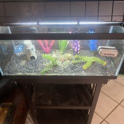 20 Gal Fish Tank With Light, Stand And Decorations 