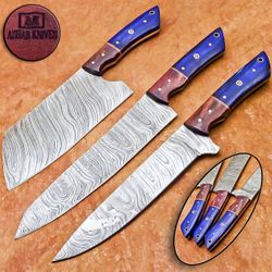Handmade Damascus Steel 3 Pcs Kitchen Knife Set 