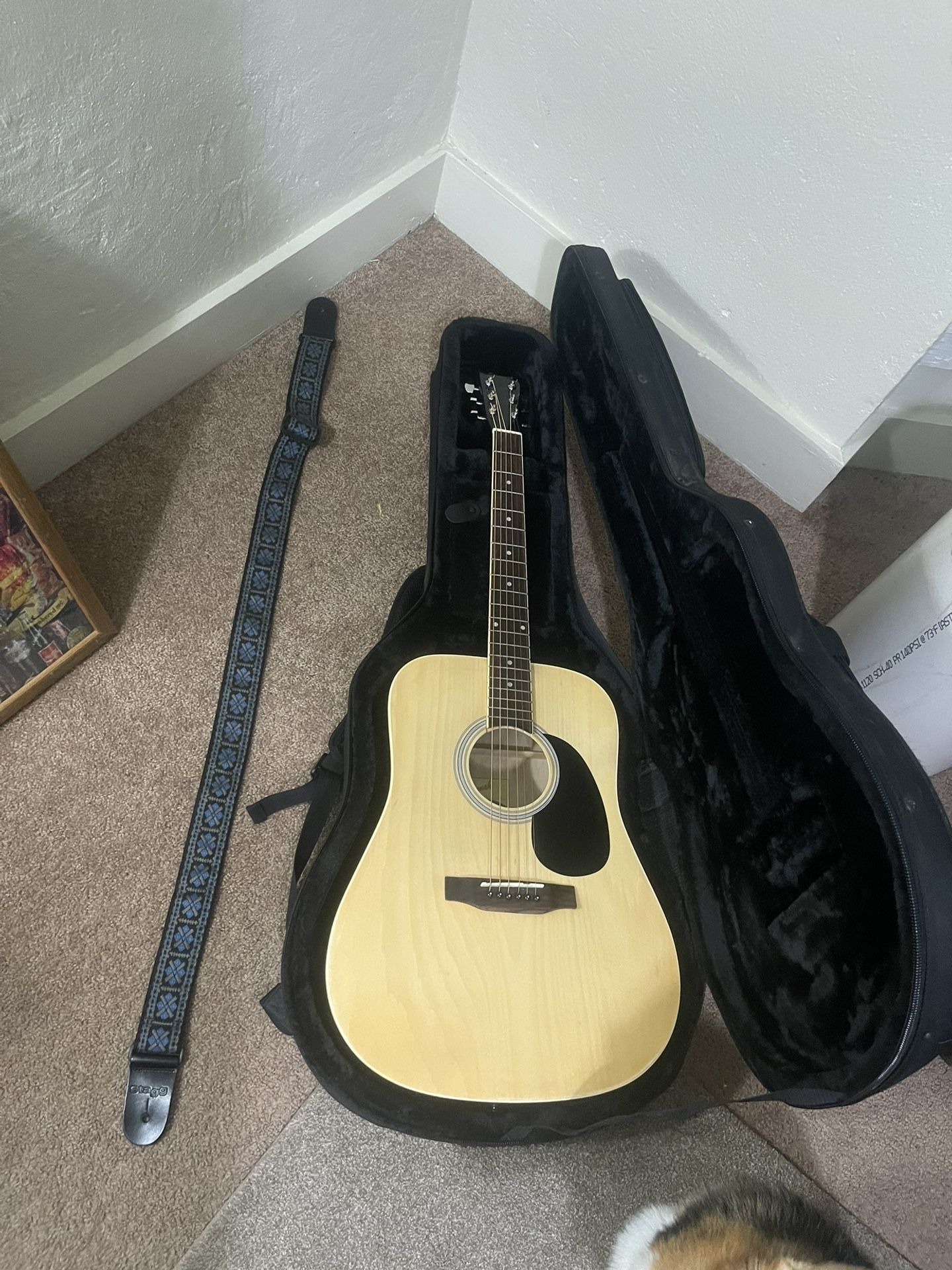 Acoustic Guitar