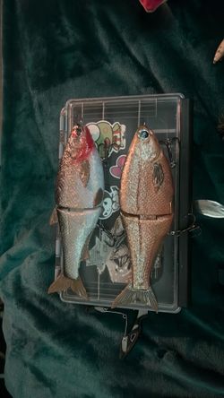 Swimbait