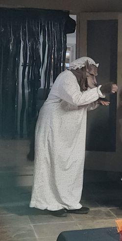 Wolf Granny Costume Adult /disfras del lobo
